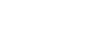 White Plus Services Logo